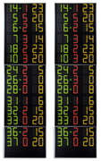 Pannelli elettronici laterali che visualizzano il N.ro di maglia, i Falli/Penalità ed i Punti dei 14 giocatori delle 2 squadre